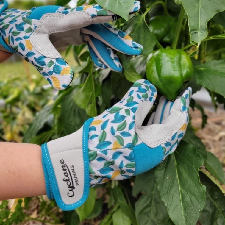 Gloves Pruning Lg Heynes