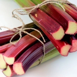 RHUBARB CROWN
