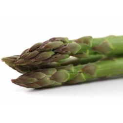 ASPARAGUS CROWN