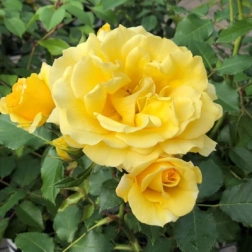 20044404_2.jpg