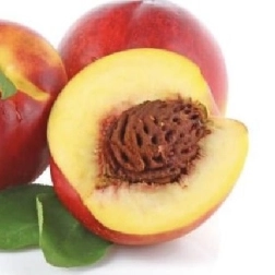 NECTARINE PEACHARINE BR