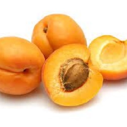 APRICOT DIVINITY DWARF BR