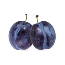PLUM SATSUMA BR