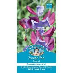 SWEET PEA CUPANI