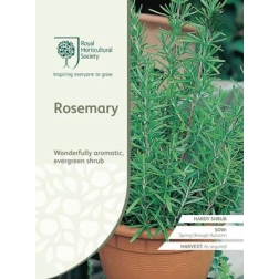 RHS ROSEMARY