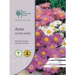 RHS ASTER ALPINE MIXED