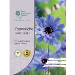 RHS CATANANCHE CUPID'S DART