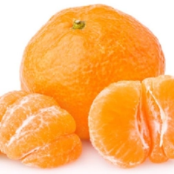 MANDARIN JAPANESE SEEDLESS DWARF