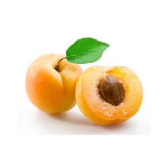 APRICOT TILTON DWARF BR