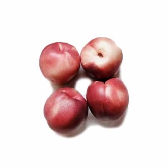 NECTARINE GOLDMINE BR