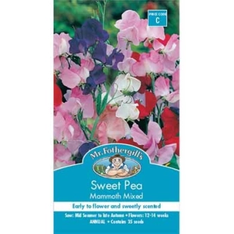 SWEET PEA MAMMOTH MIXED