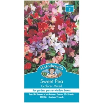 SWEET PEA EXPLORER MIXED DWARF