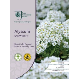 RHS ALYSSUM SNOWDRIFT