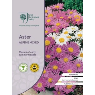 RHS ASTER ALPINE MIXED