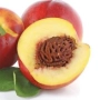 NECTARINE PEACHARINE BR