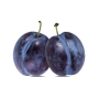 PLUM SATSUMA BR