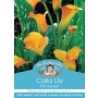 CALLA LILY POT SUNSET