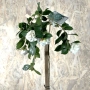 Thumb image 3810