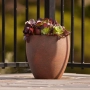 Thumb image 3815