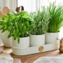 Thumb image 3533