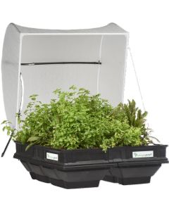 VEGEPOD MEDIUM
