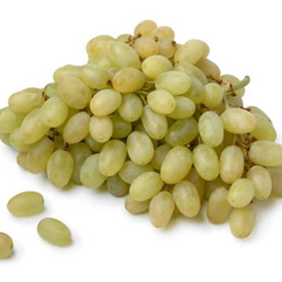 Snapshot of Thompson Seedless Grape Ingestion In Breeds