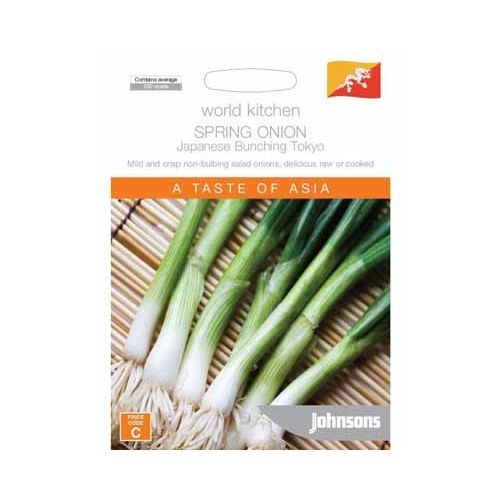 SPRING ONION JAPANESE BUNCHING TOKYO