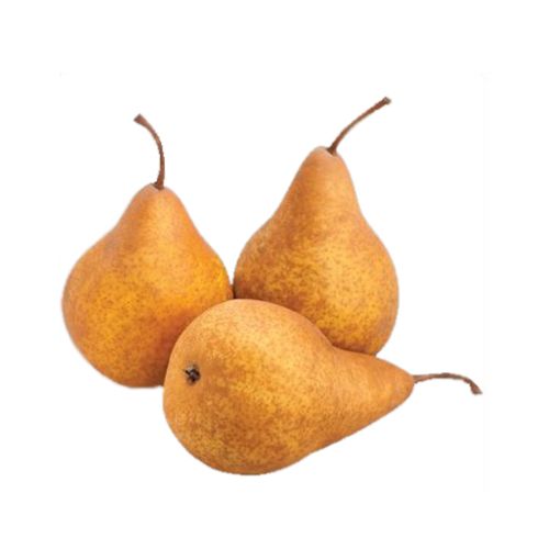 PEAR 'BEURRE BOSC'