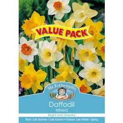 DAFFODIL MIXED VALUE PACK