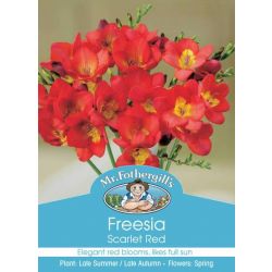 FREESIA SCARLET RED